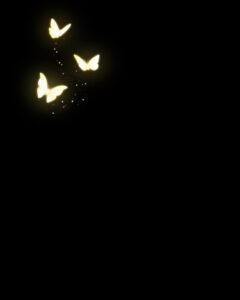 Butterfly Png Download