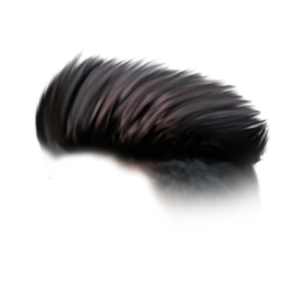 Hair PNG