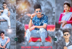 Silver Tone Lightroom Preset Free Download