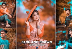 Brown And Blue Tone Lightroom Preset Download