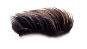 Cb hair PNG