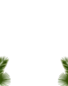 Blur Tree Png