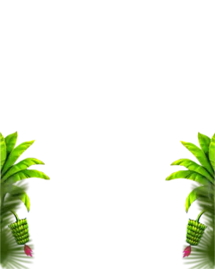 Banana Tree Png ( Rsp )