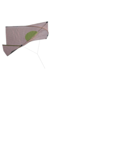 Kite png download 