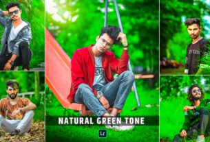 Natural green tone lightroom preset download | Lightroom preset download