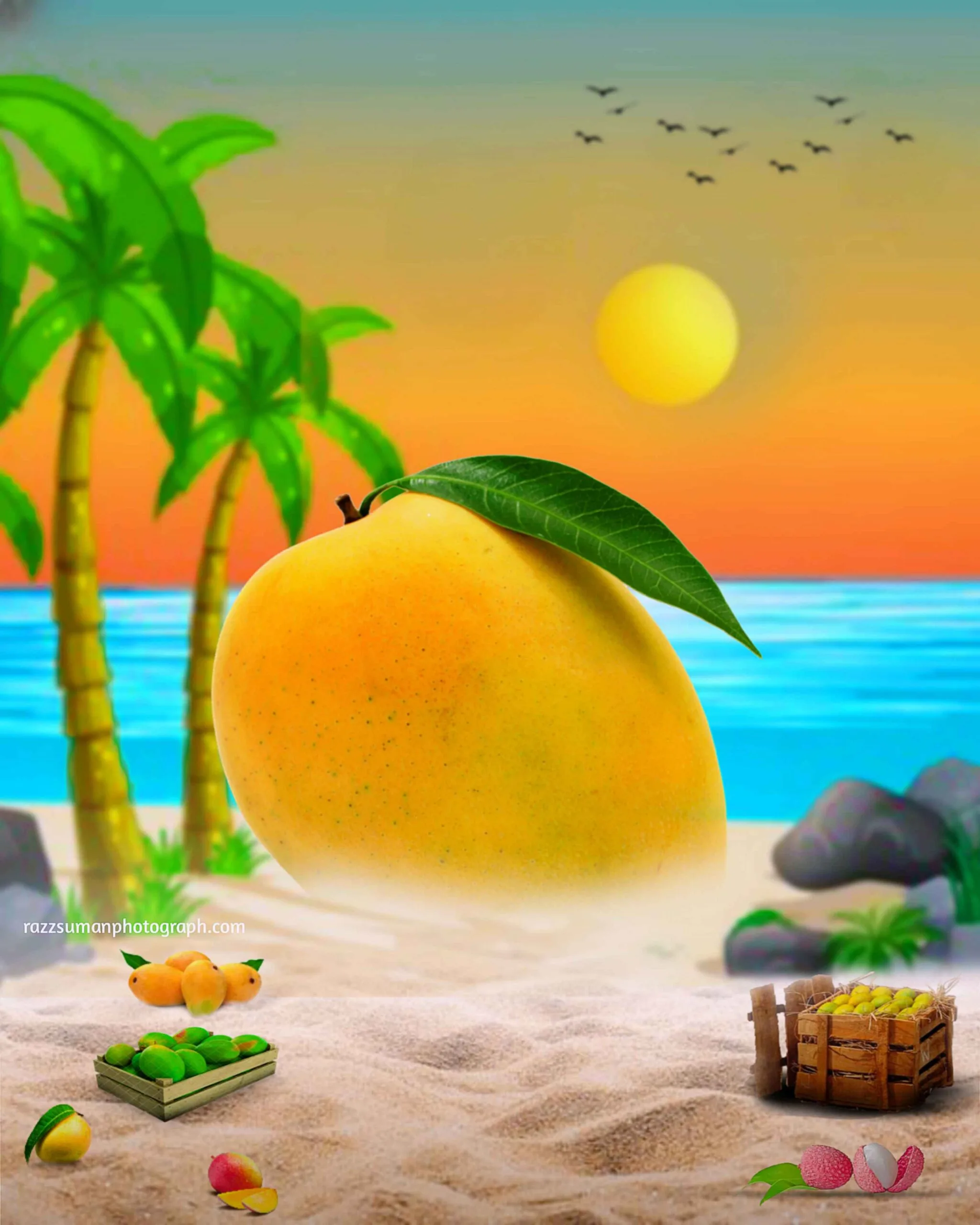 summer photo editing background