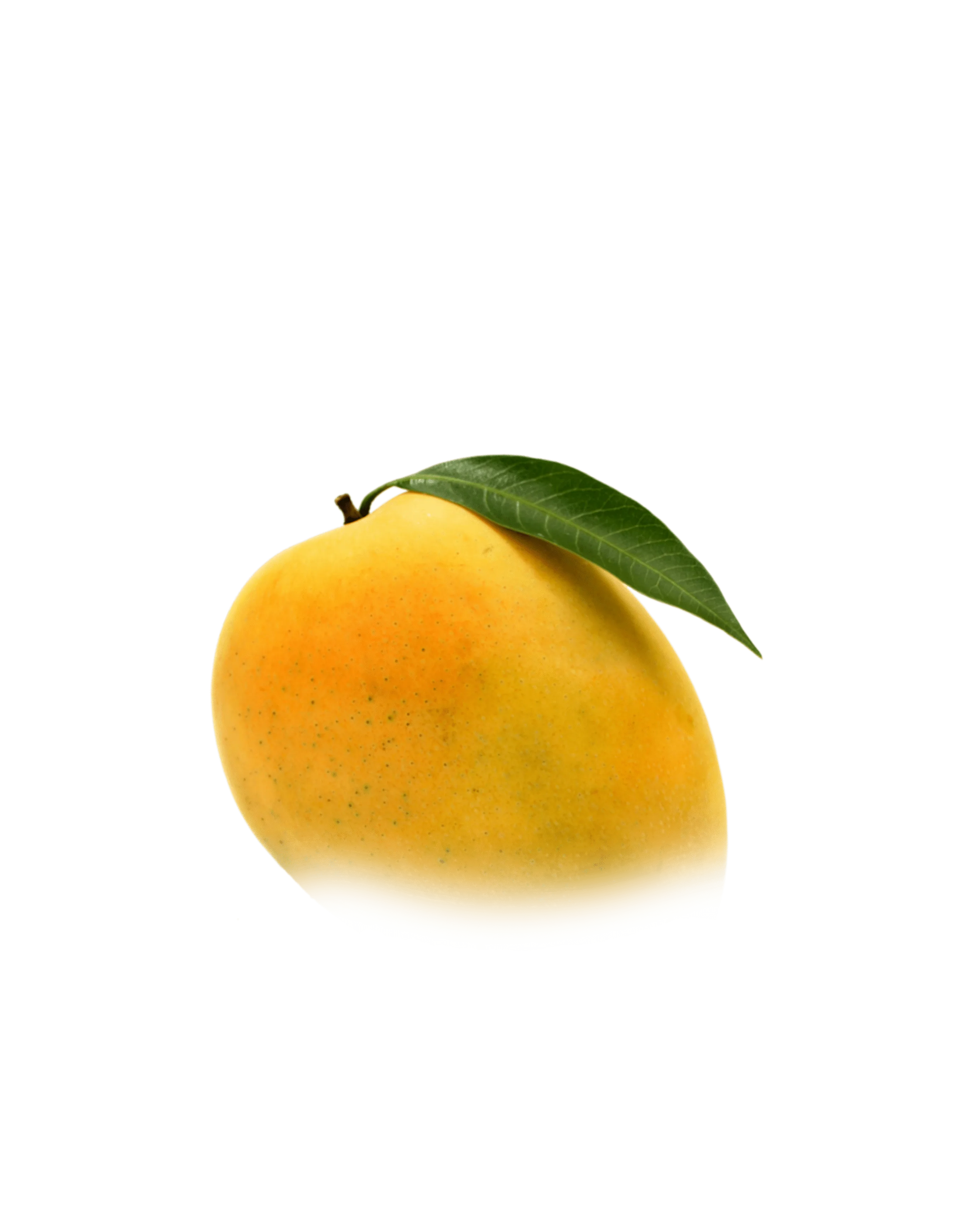 mango png