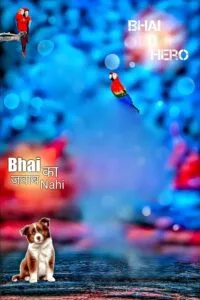 Bhai Tera Hero cb background