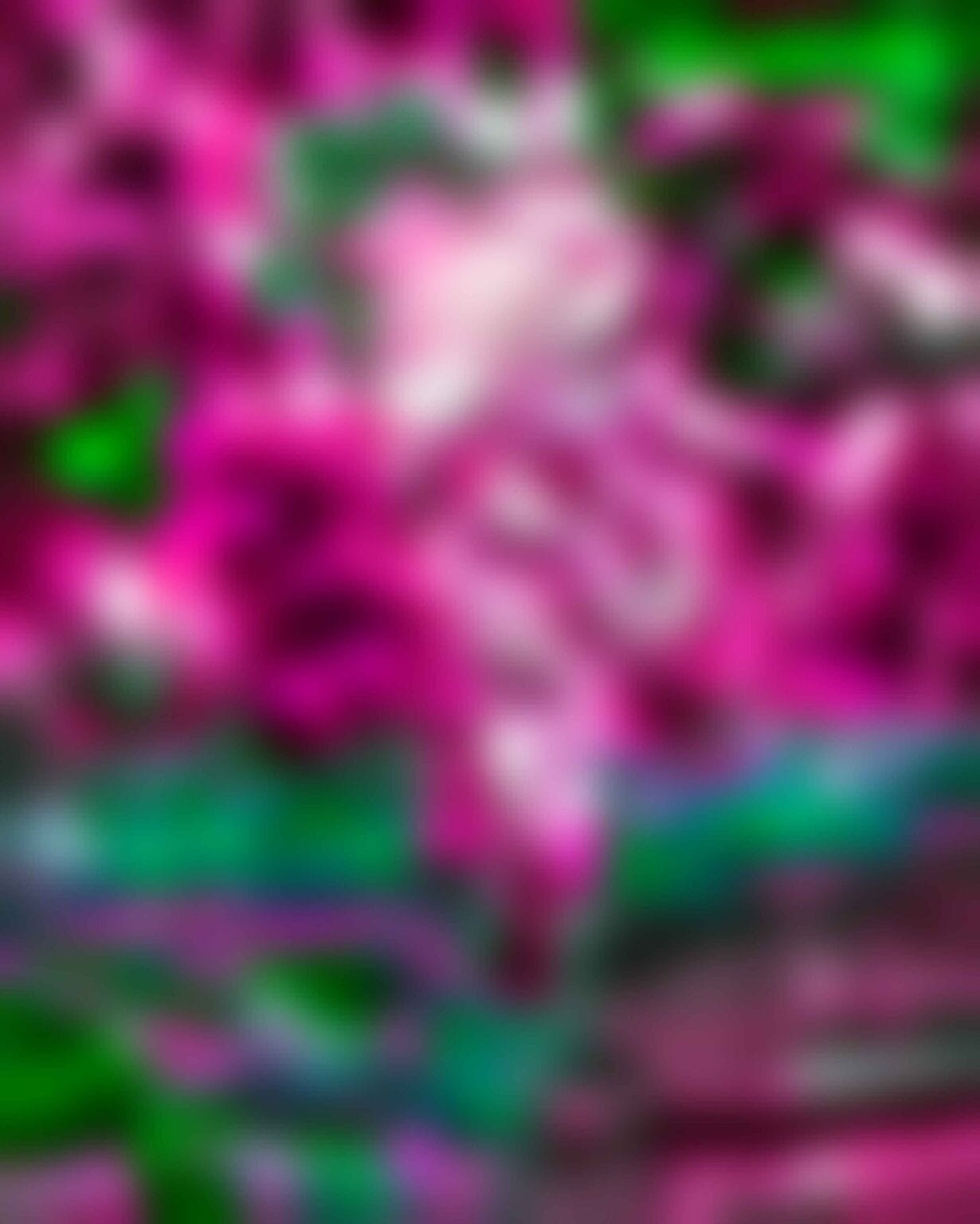 snapseed erase photo editing background png