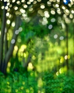 Bokeh Effect Chatgpt Prompt